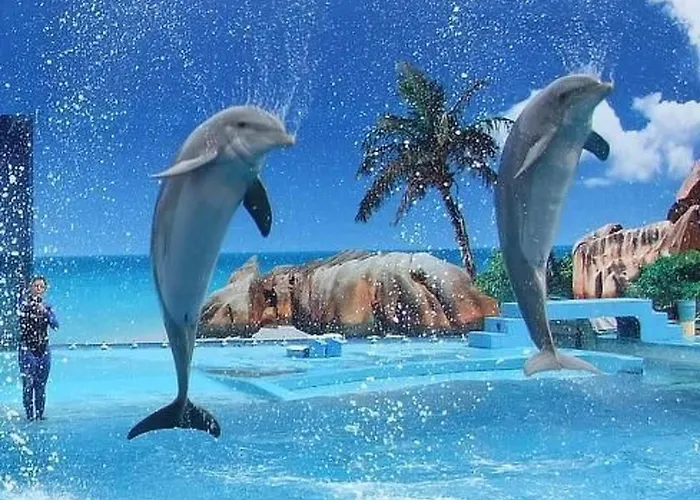 Lägenhet Mit Terrasse By Interhome